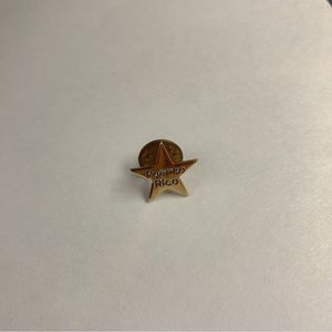 Vintage Puerto Rico Novelty Pin